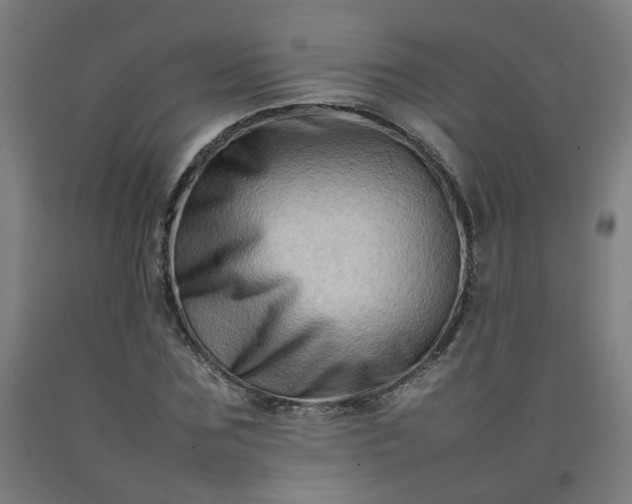 X0000092230875200709281102