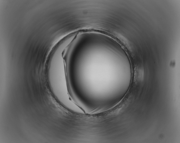 X0000092230876200709281102