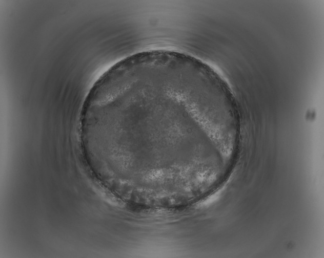 X0000092230879200709281102