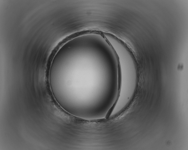 X0000092230880200709281102