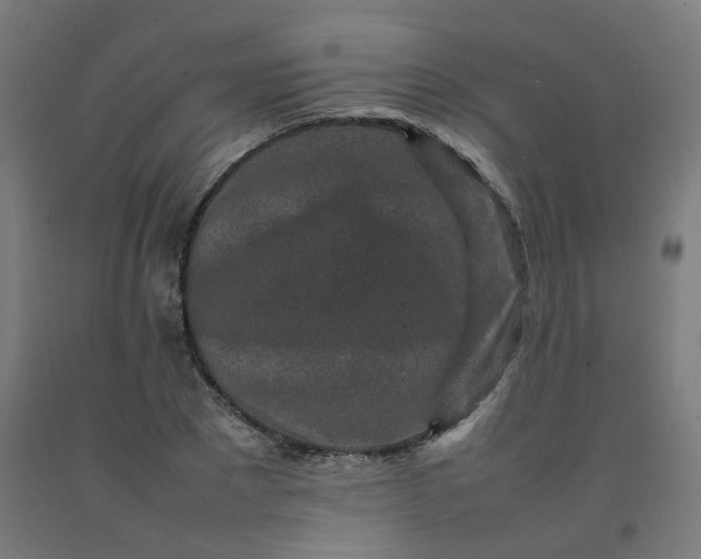 X0000092230881200709281102