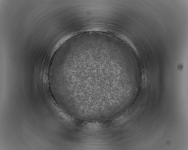 X0000092230882200709281102