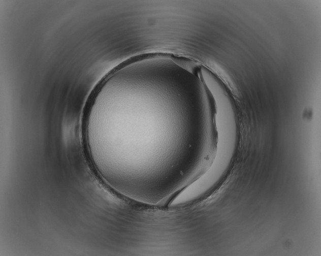 X0000092230884200709281102