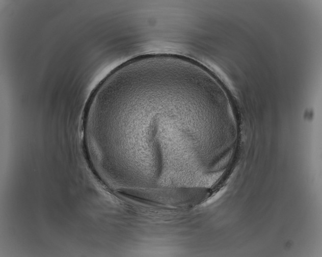 X0000092230885200709281102