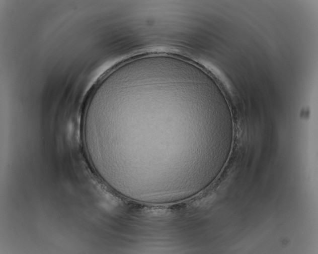 X0000092230886200709281102