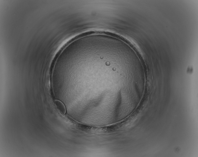 X0000092230887200709281102