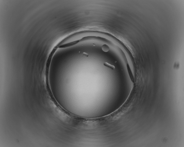 X0000092230888200709281102