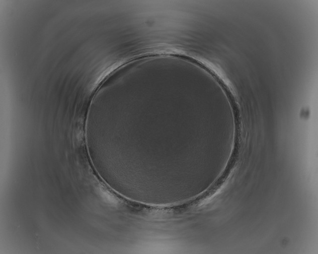 X0000092230889200709281102