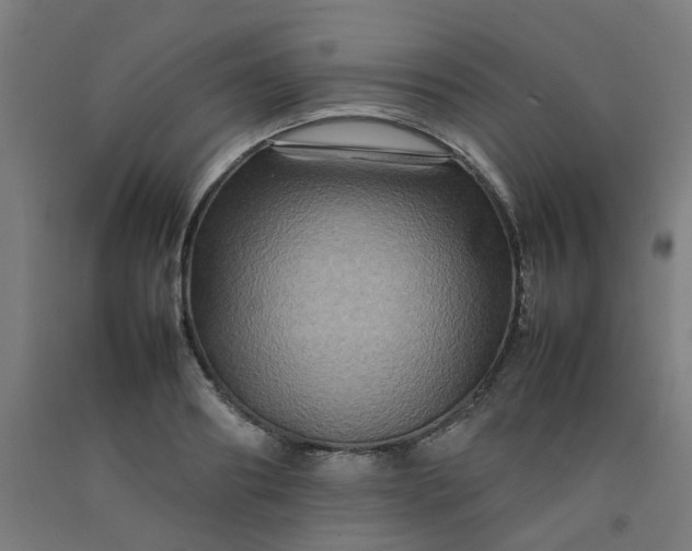 X0000092230890200709281102