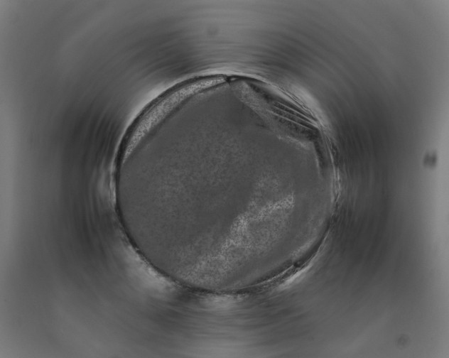 X0000092230892200709281102