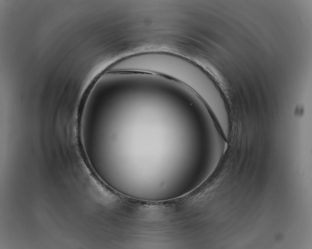 X0000092230894200709281102