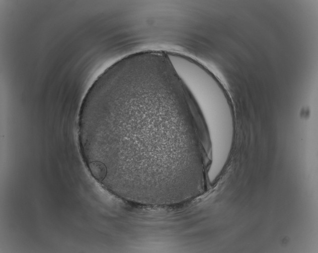 X0000092230895200709281102