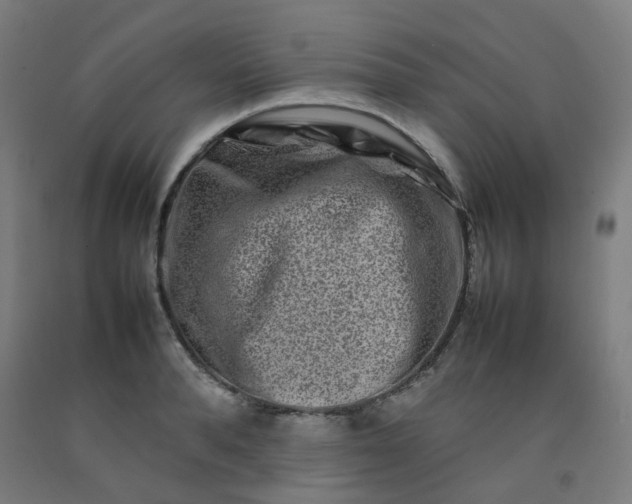 X0000092230896200709281102