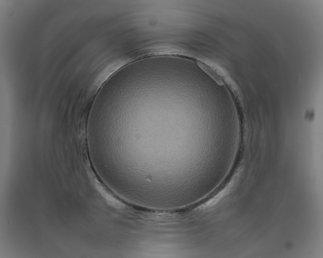 X0000092230897200709281102