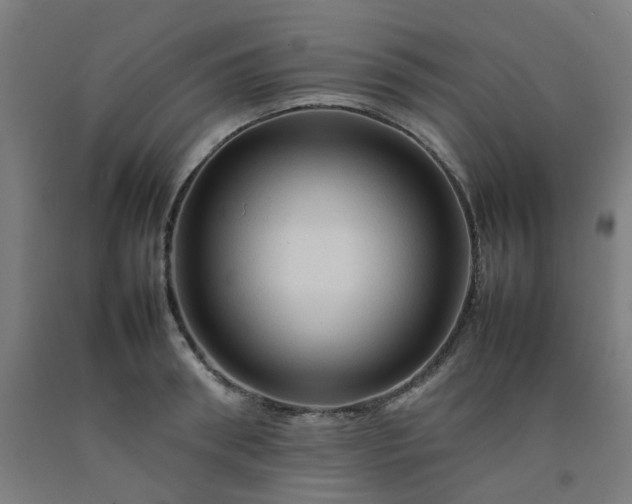 X0000092230898200709281102