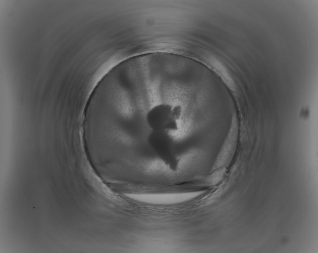 X0000092230899200709281102