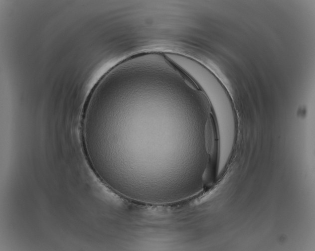 X0000092230901200709281102