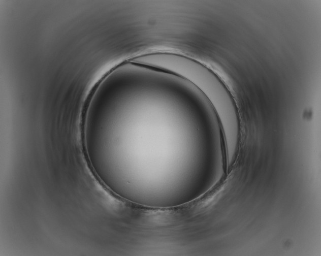 X0000092230902200709281102