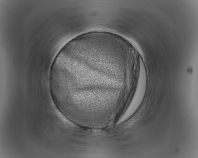 X0000092230903200709281102