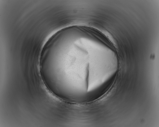 X0000092230904200709281102