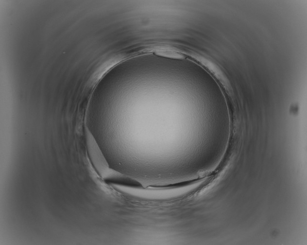 X0000092230905200709281102