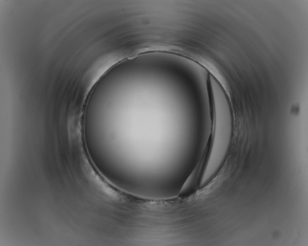 X0000092230906200709281102