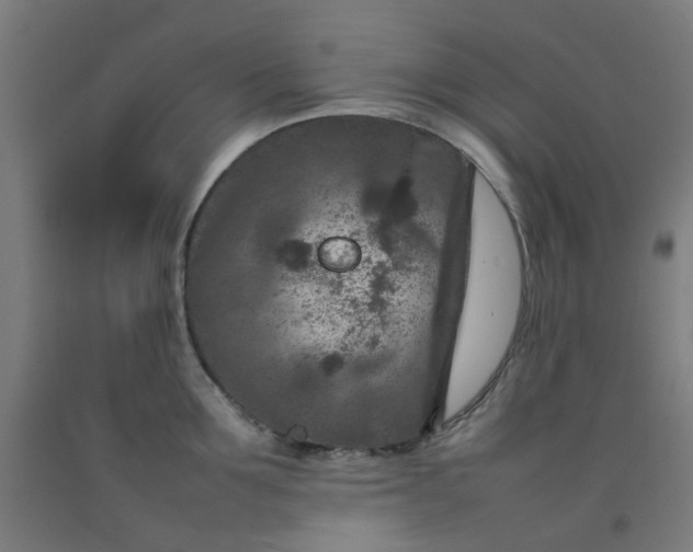 X0000092230907200709281102