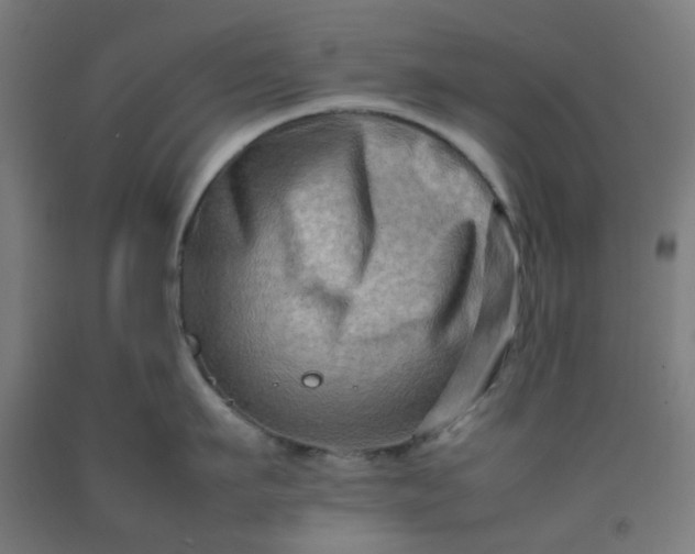 X0000092230911200709281102