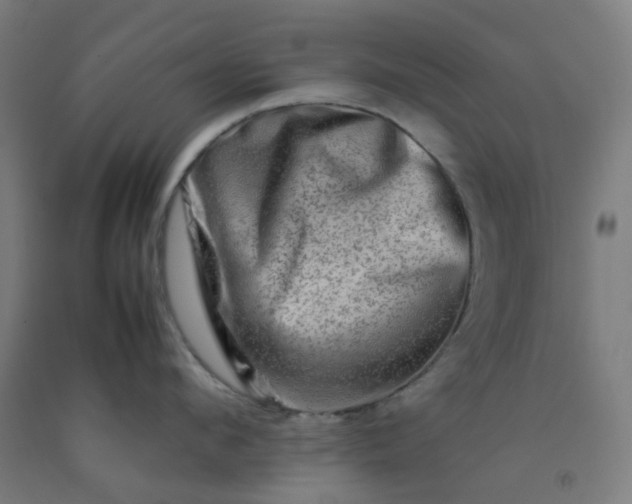 X0000092230912200709281102