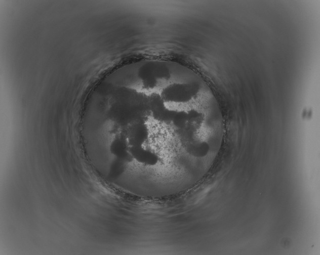 X0000092230913200709281101