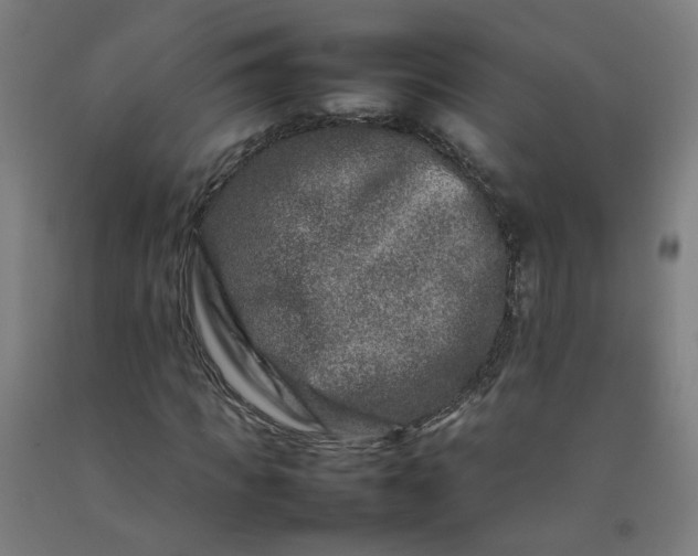 X0000092230917200709281101