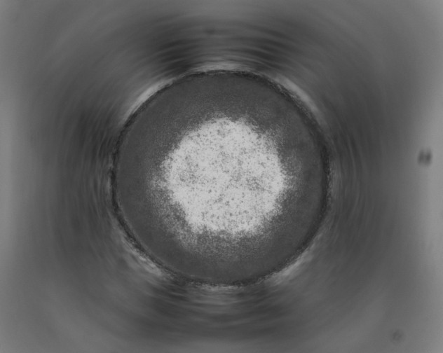 X0000092230921200709281101