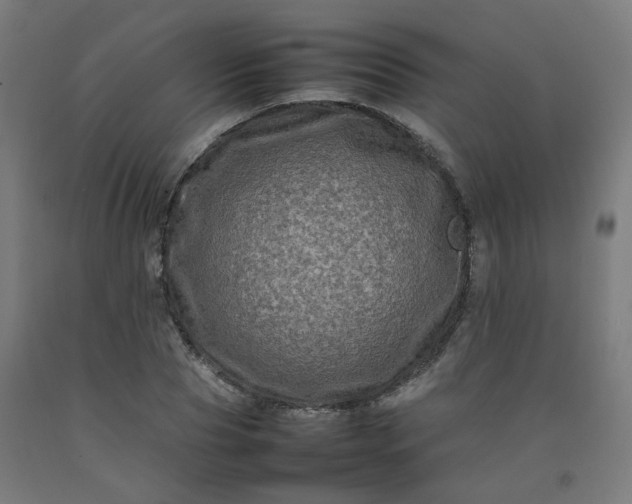 X0000092230929200709281101