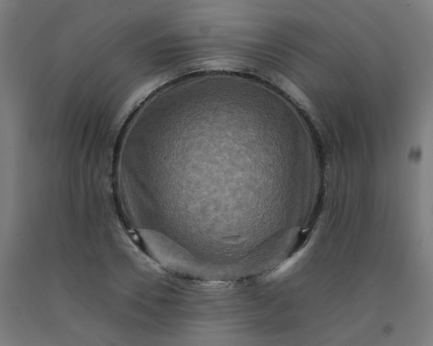 X0000092230930200709281101