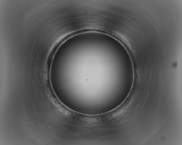 X0000092230931200709281101
