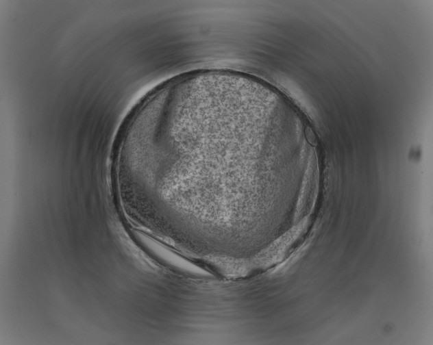 X0000092230932200709281101
