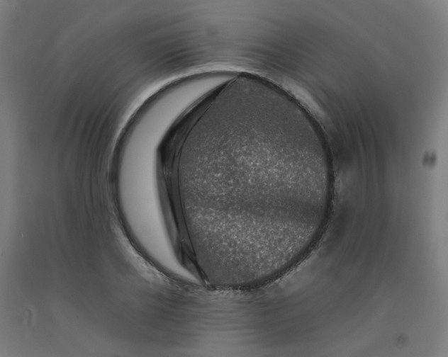 X0000092230934200709281101