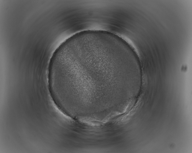 X0000092230935200709281101