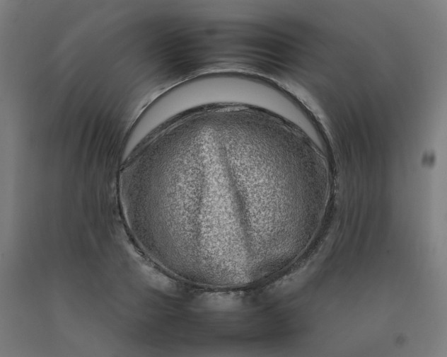 X0000092230937200709281101