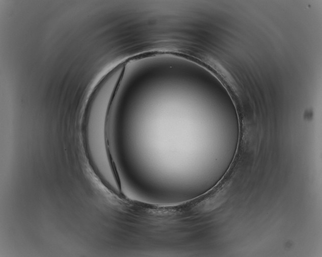 X0000092230939200709281101