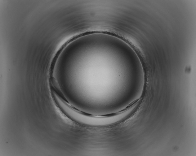 X0000092230942200709281101
