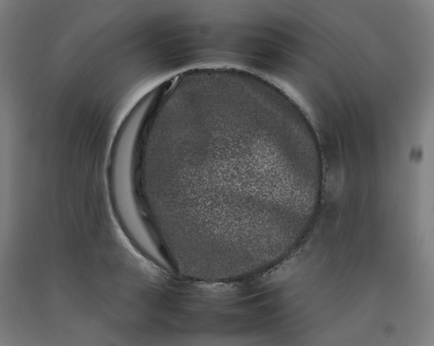 X0000092230943200709281101