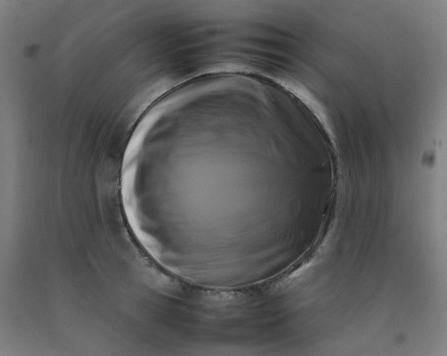 X0000092230945200709281101