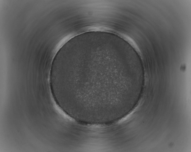 X0000092230946200709281101