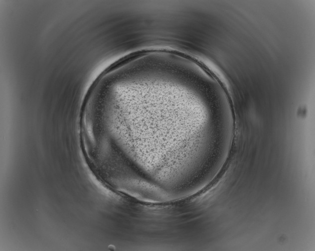 X0000092230951200709281101