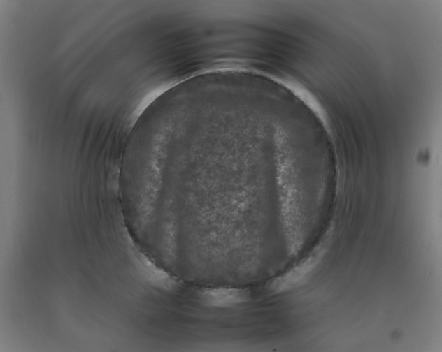 X0000092230953200709281101