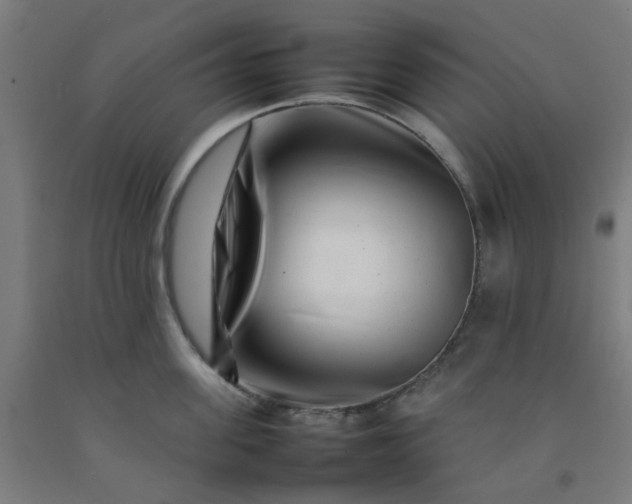 X0000092230955200709281101