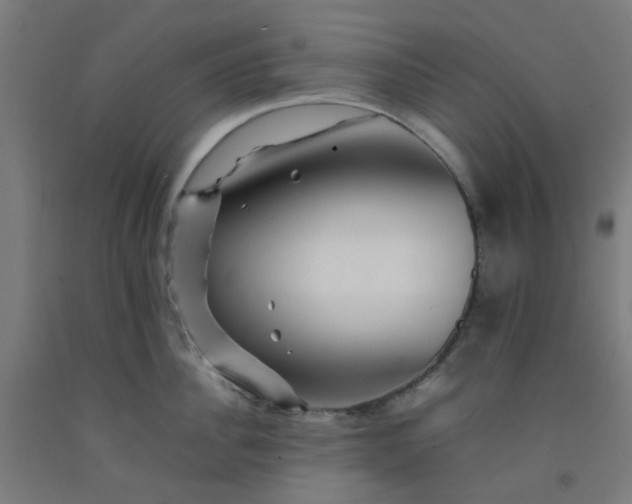 X0000092230956200709281101