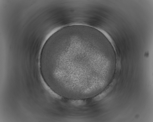 X0000092230957200709281101