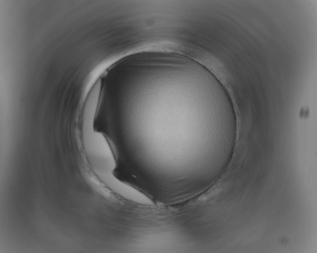 X0000092230960200709281102